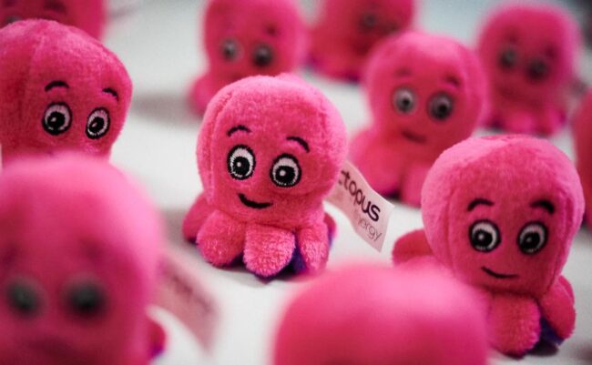 octopus energy pleite octopus energy pleite